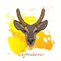 Capricorn zodiac sign is drawn in a watercolor style in illustrator.